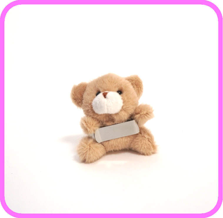 Toy