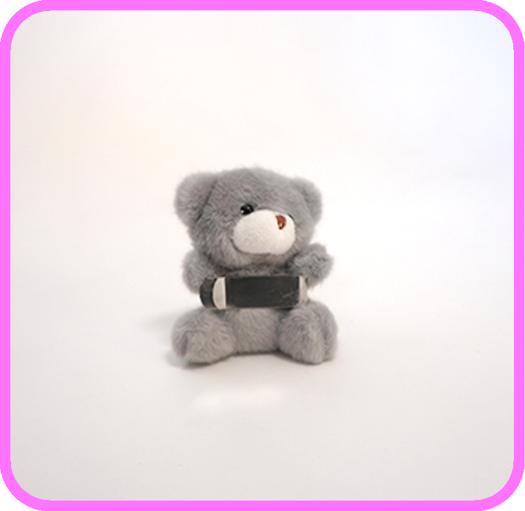 Toy