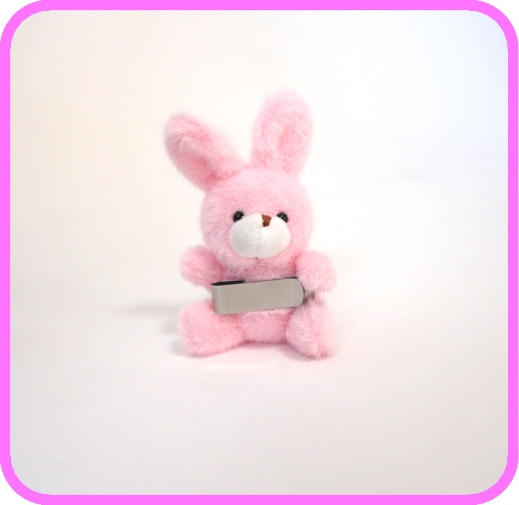 Toy