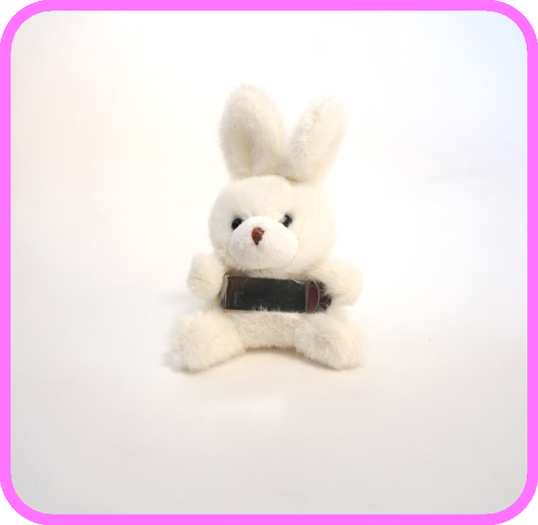 Toy
