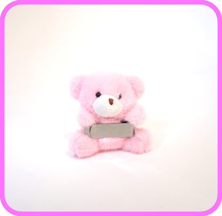 Toy