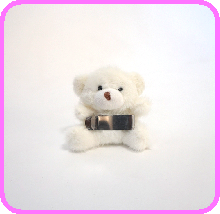 Toy
