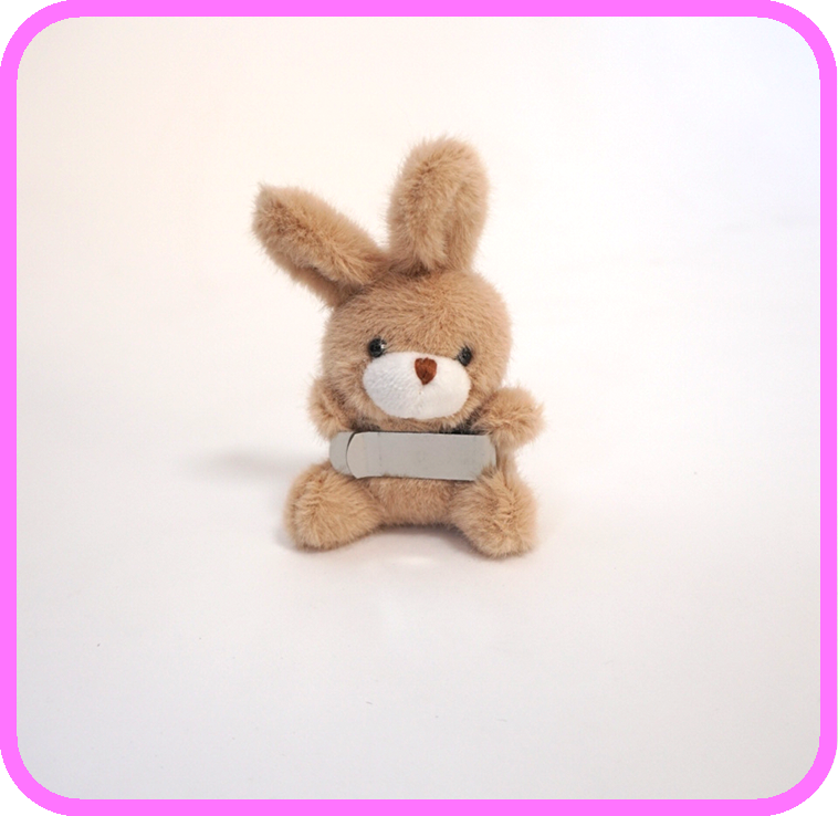 Toy