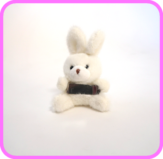 Toy