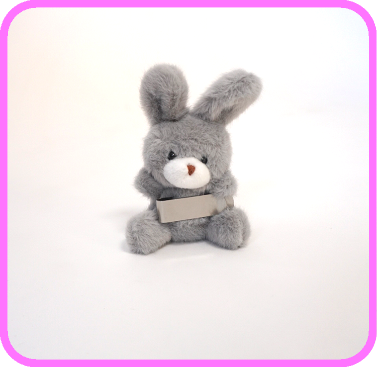 Toy